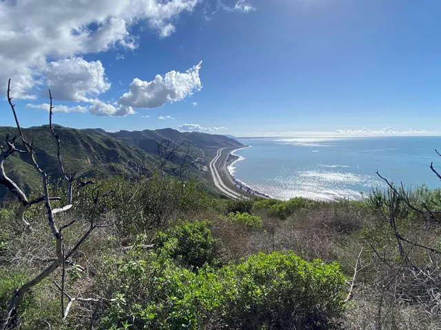 a view of a backyard with green space