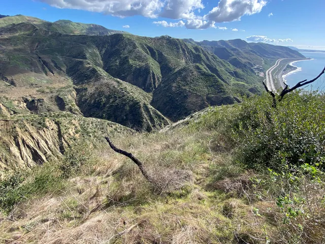 a view of a houses with a yard