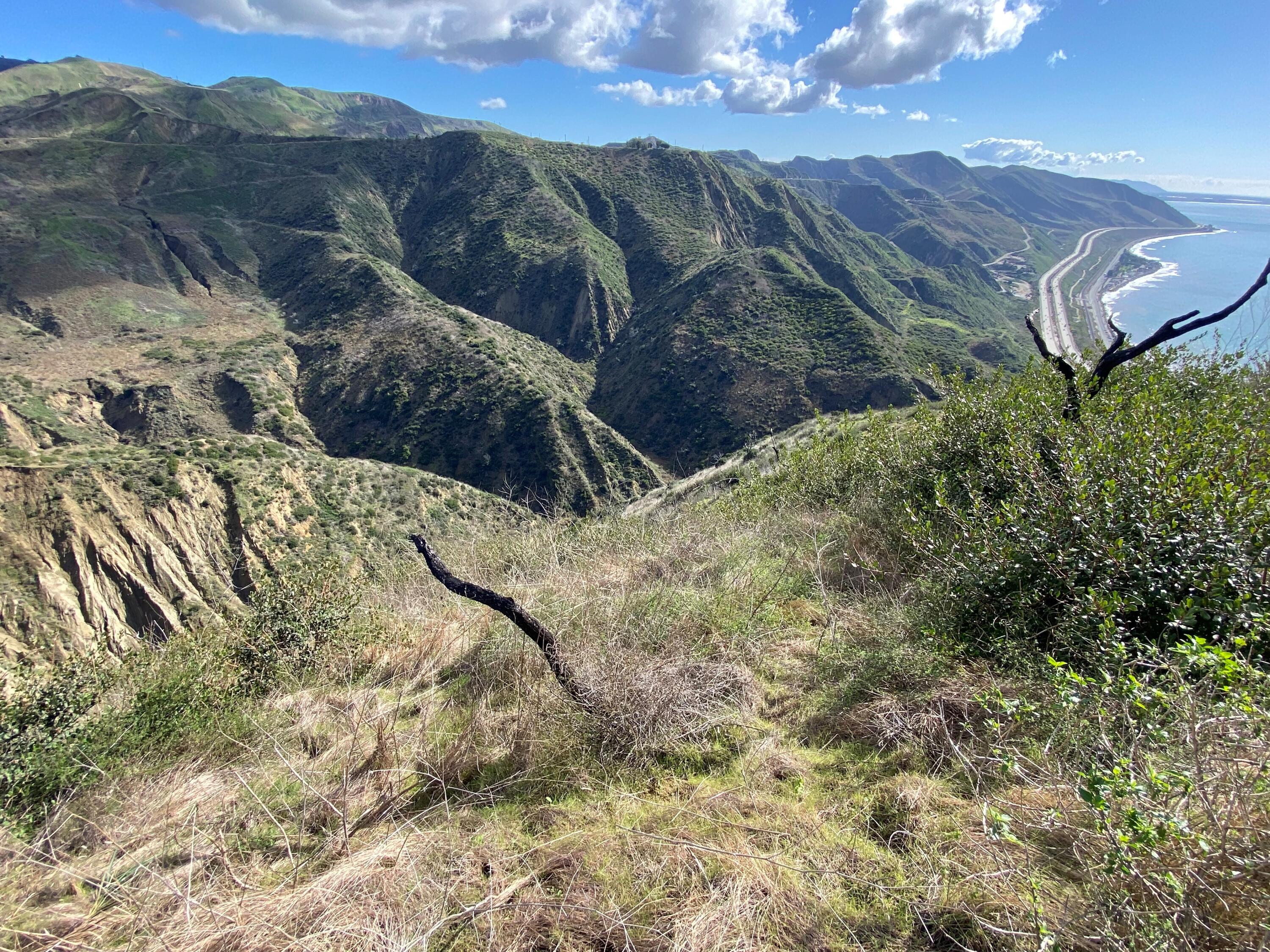 3945 Pacific Coast Highway Ventura, CA 93001 - Photo 16 of 37 The Top