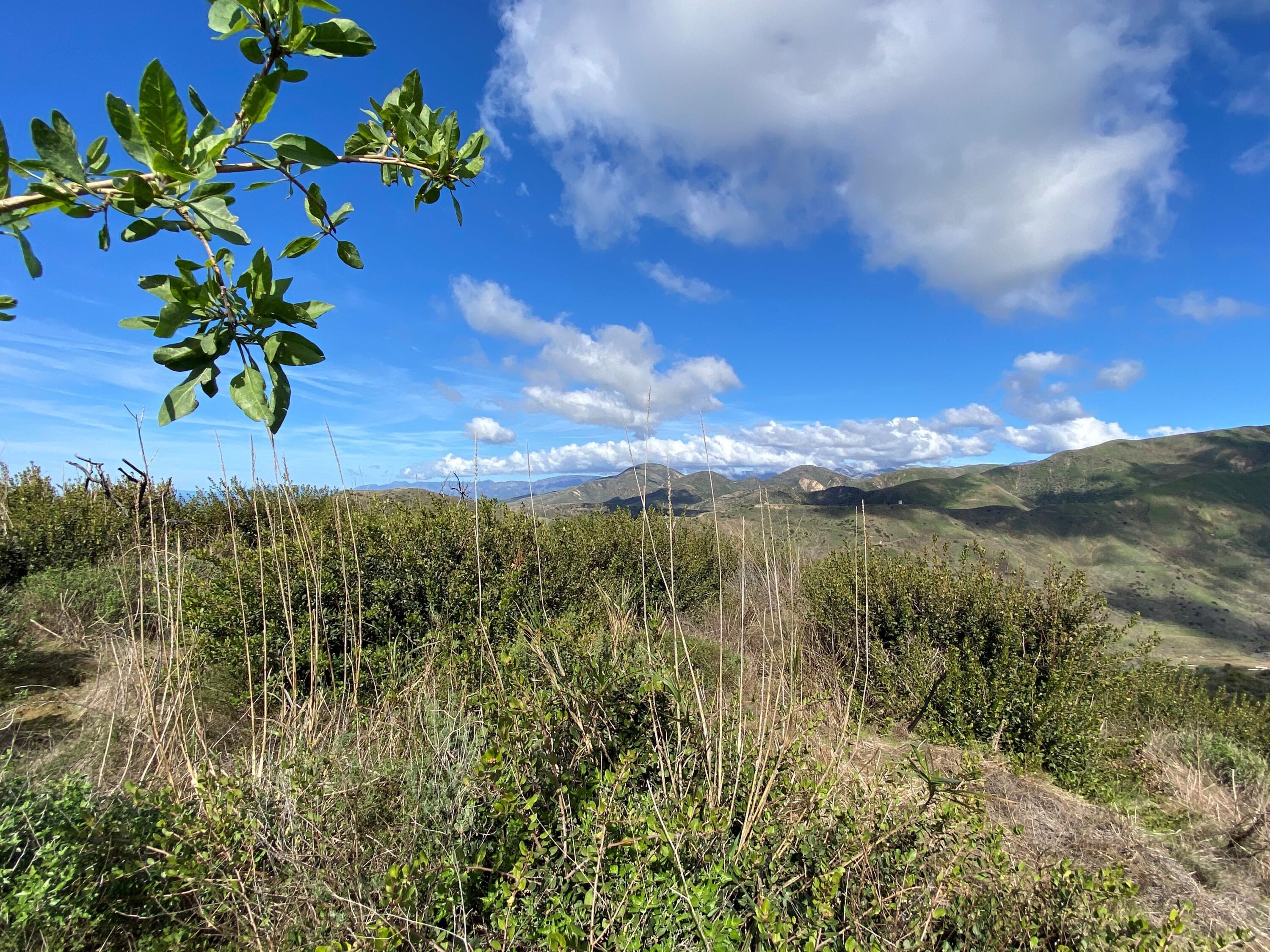 3945 Pacific Coast Highway Ventura, CA 93001 - Photo 20 of 37 Top