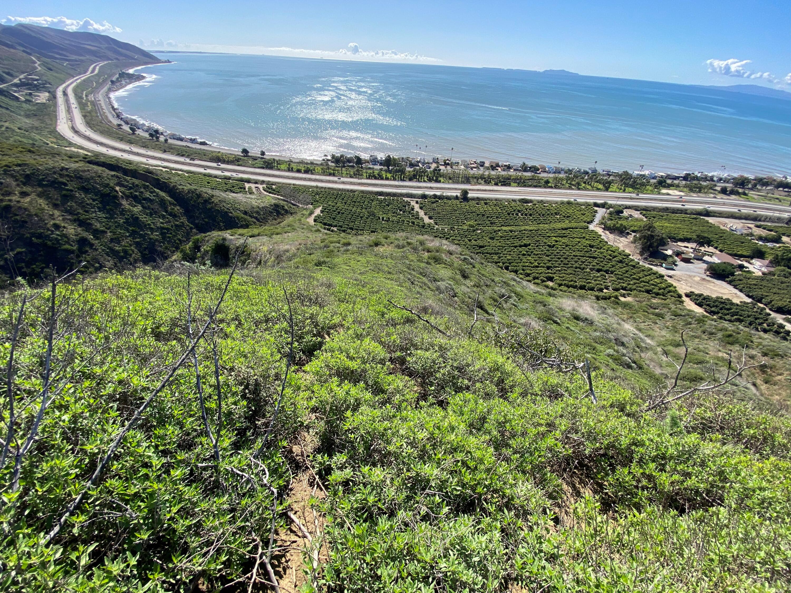 3945 Pacific Coast Highway Ventura, CA 93001 - Photo 2 of 37 SE Ridge Trail