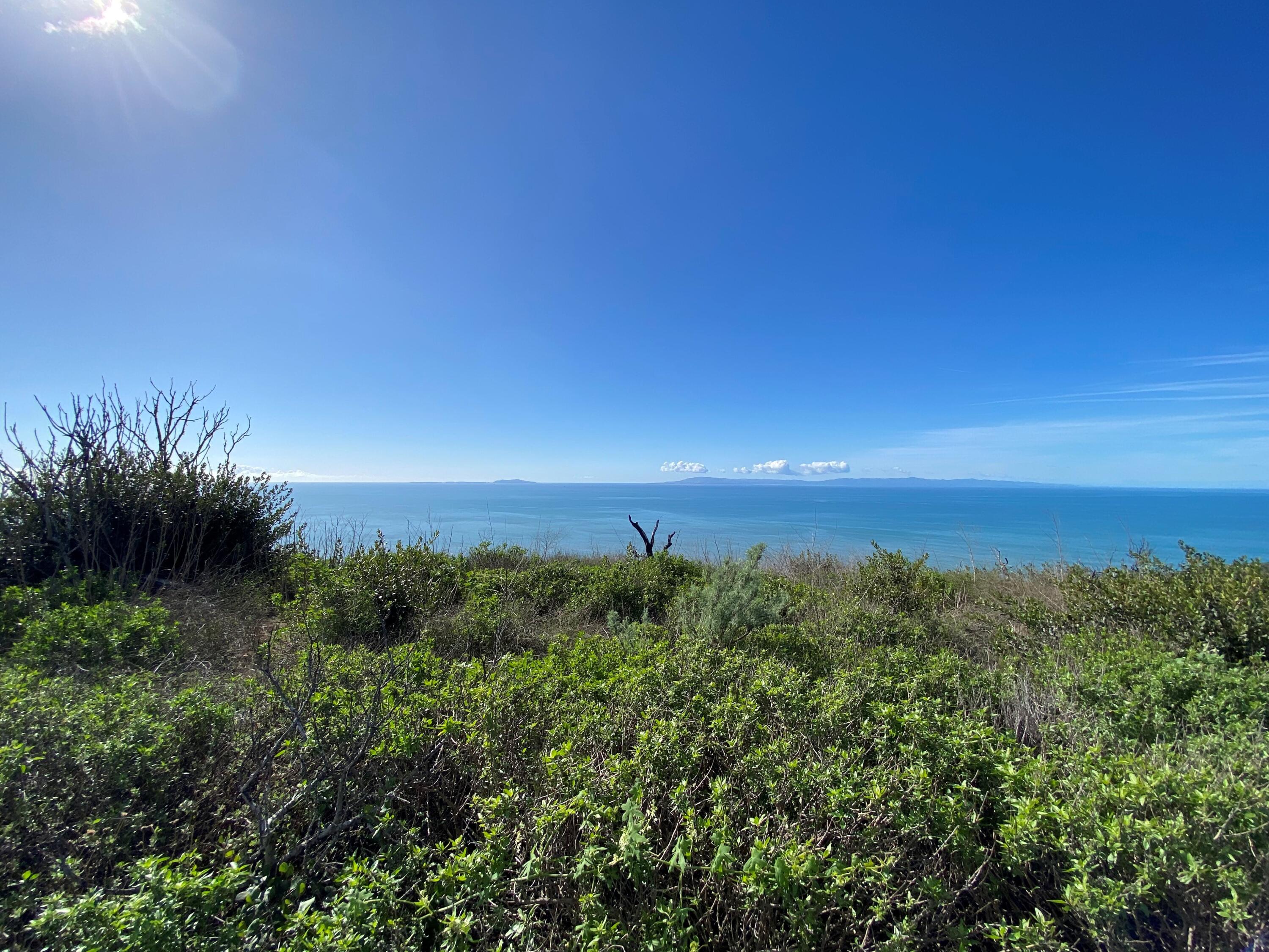 3945 Pacific Coast Highway Ventura, CA 93001 - Photo 21 of 37 Top