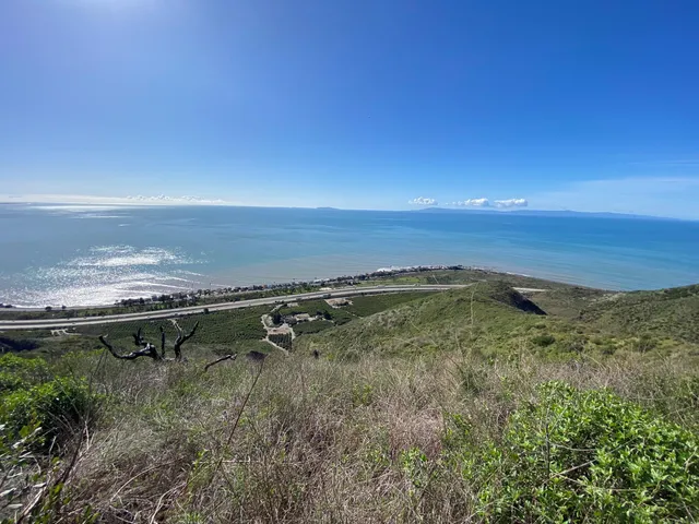 a view of a backyard of a house