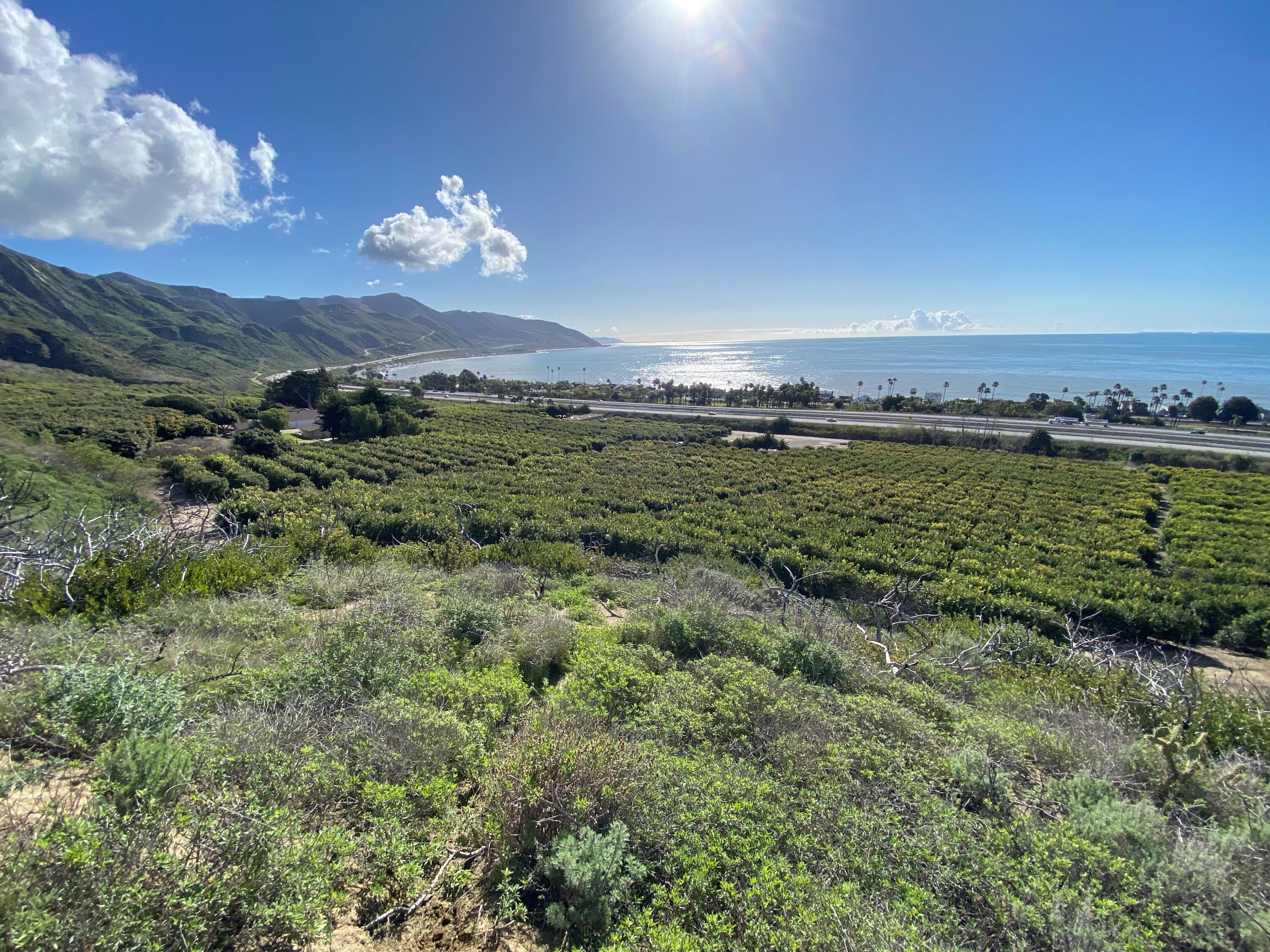 3945 Pacific Coast Highway Ventura, CA 93001 - Photo 3 of 37 Rincon Ranch