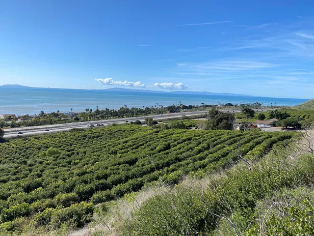 a view of a lake with a mountain