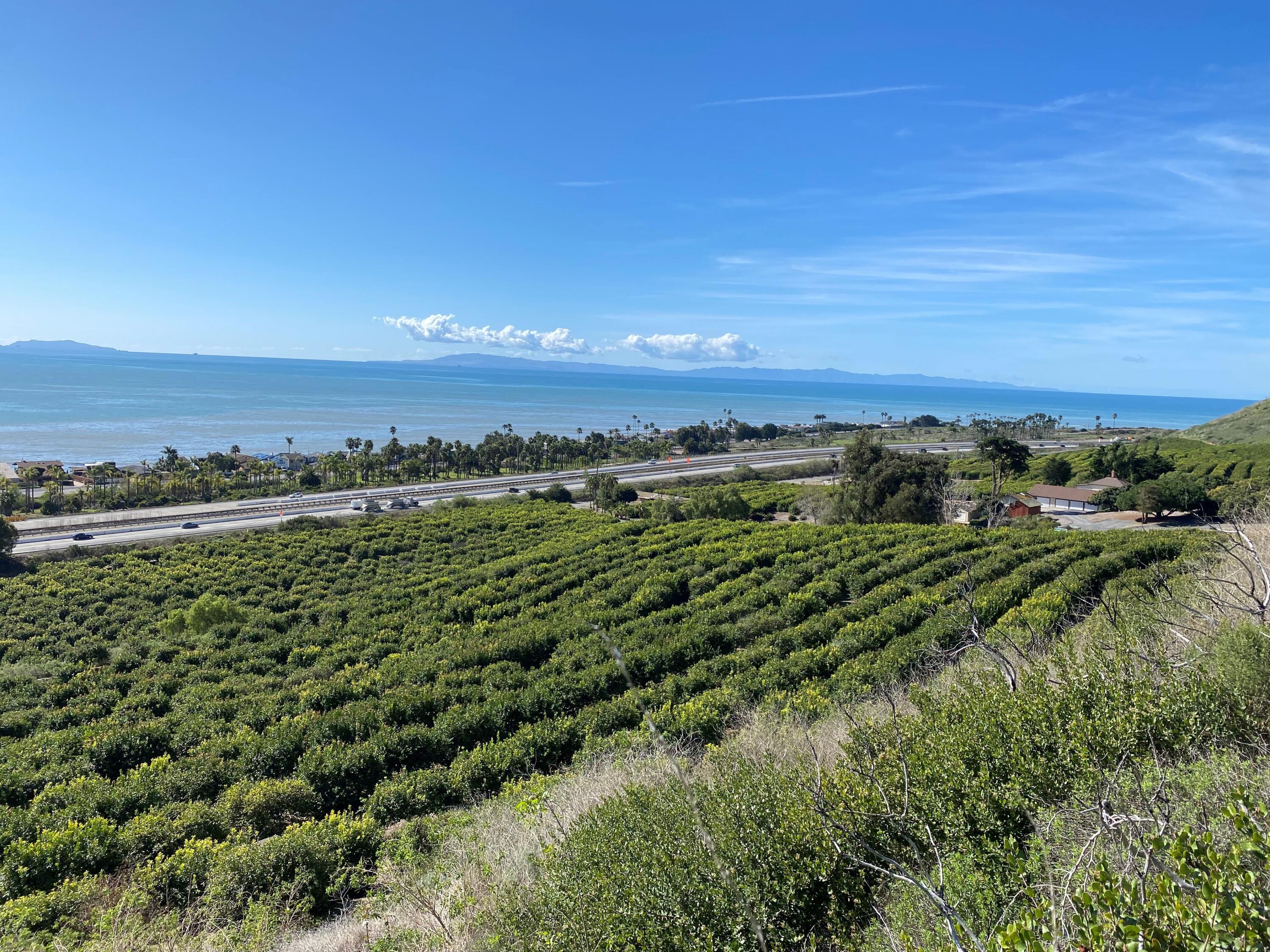 3945 Pacific Coast Highway Ventura, CA 93001 - Photo 31 of 37 Almost Back