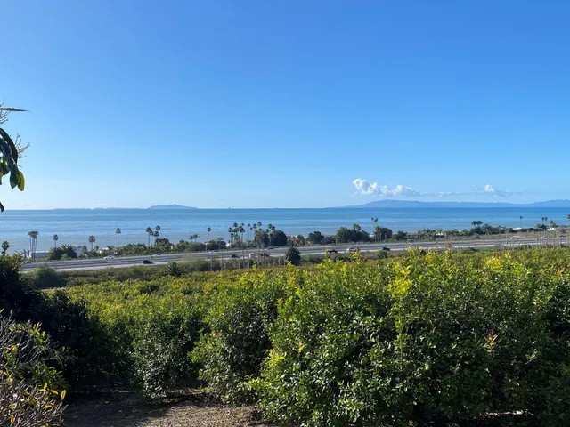 a picture of a table