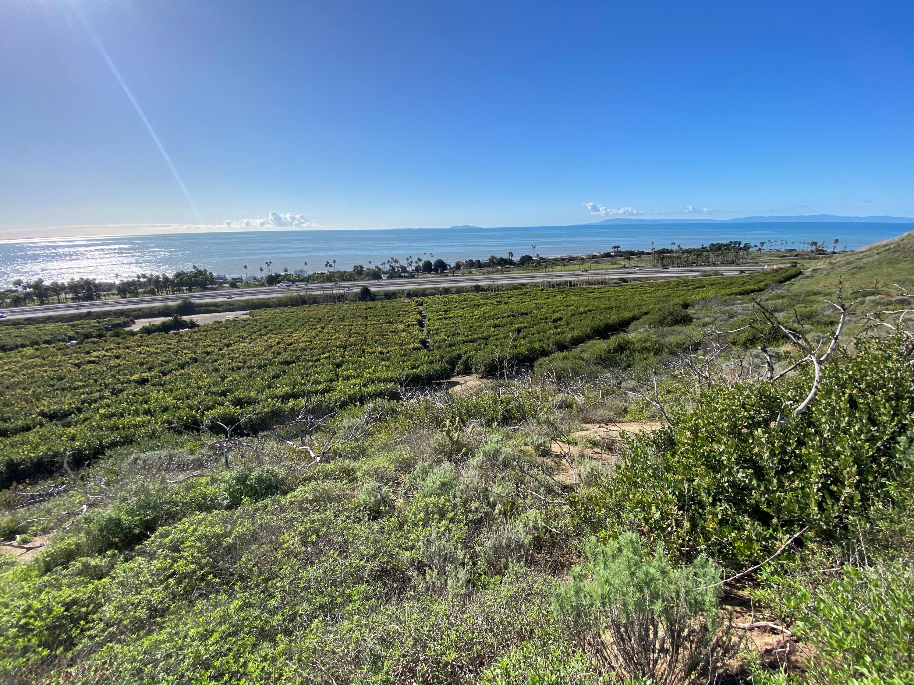 3945 Pacific Coast Highway Ventura, CA 93001 - Photo 5 of 37 View from Shortcut Trail