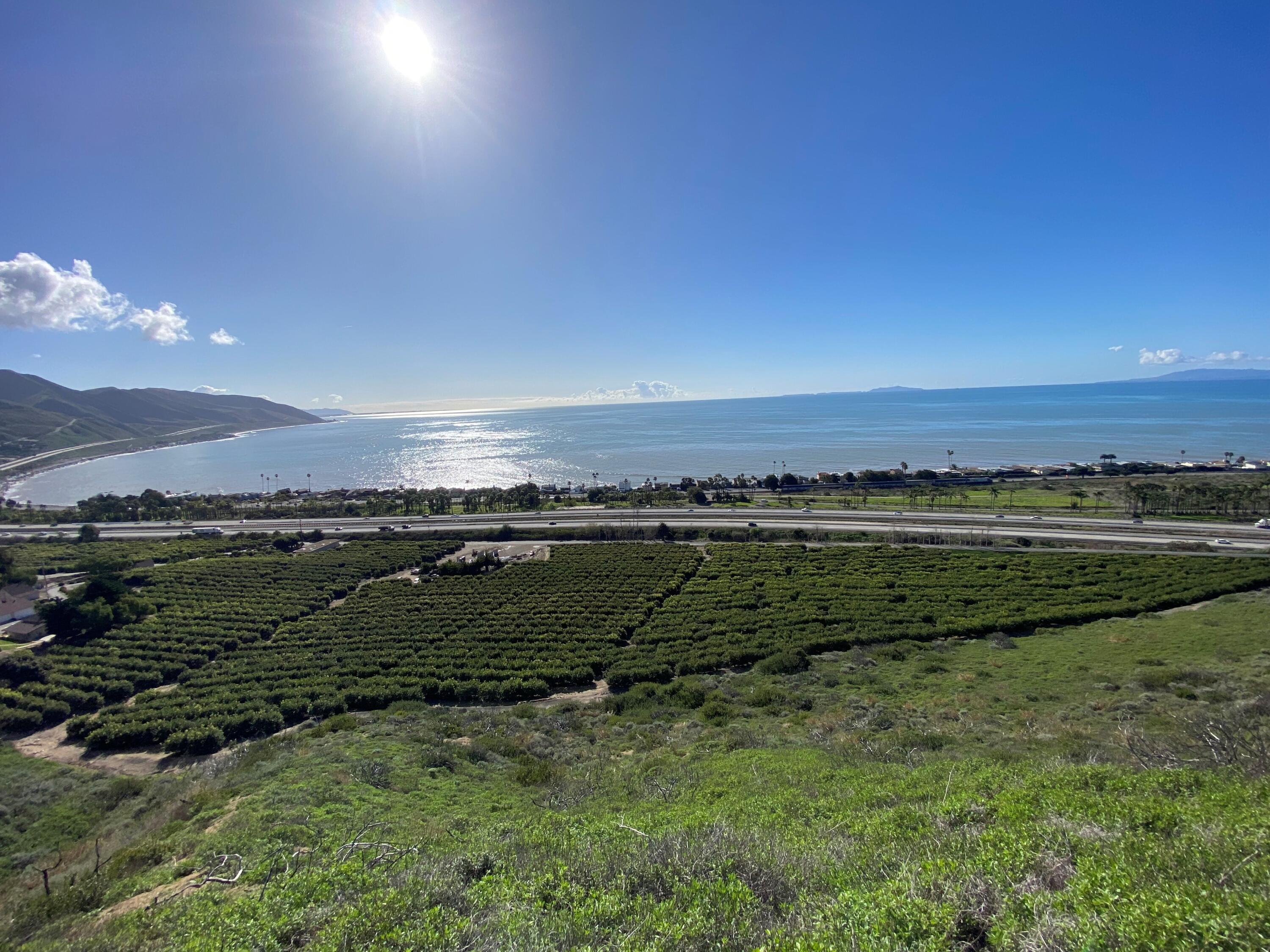 3945 Pacific Coast Highway Ventura, CA 93001 - Photo 8 of 37 Climbing