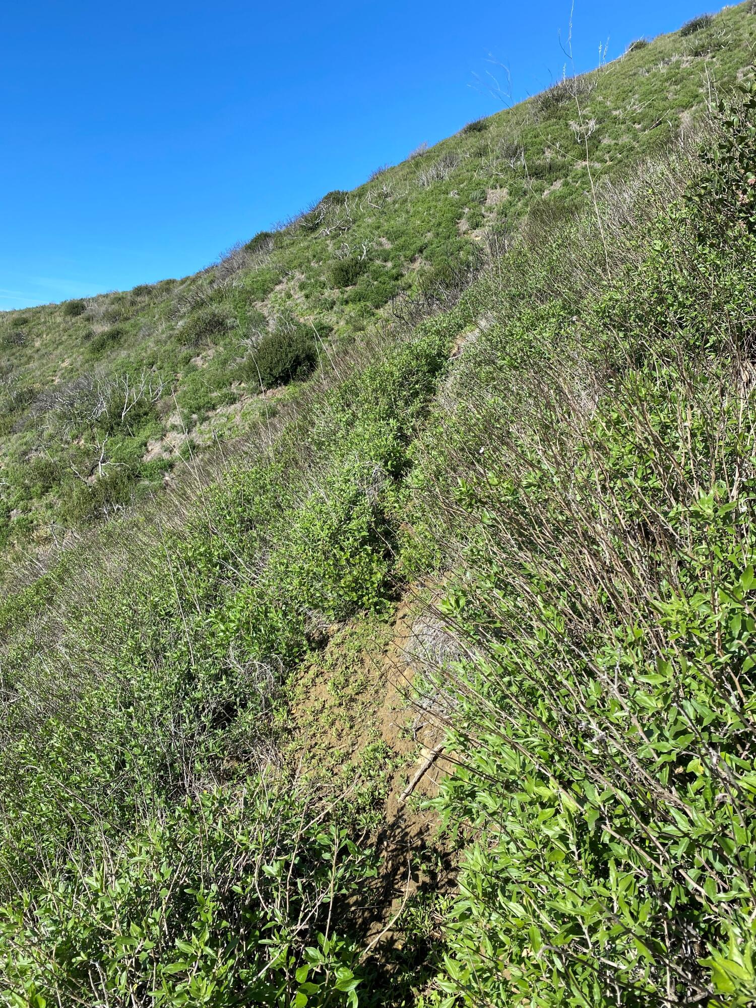 3945 Pacific Coast Highway Ventura, CA 93001 - Photo 9 of 37 Climbing