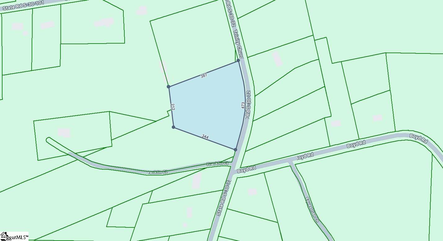 0 Trinity Church Road Laurens, SC 29360 - Photo 2 of 2