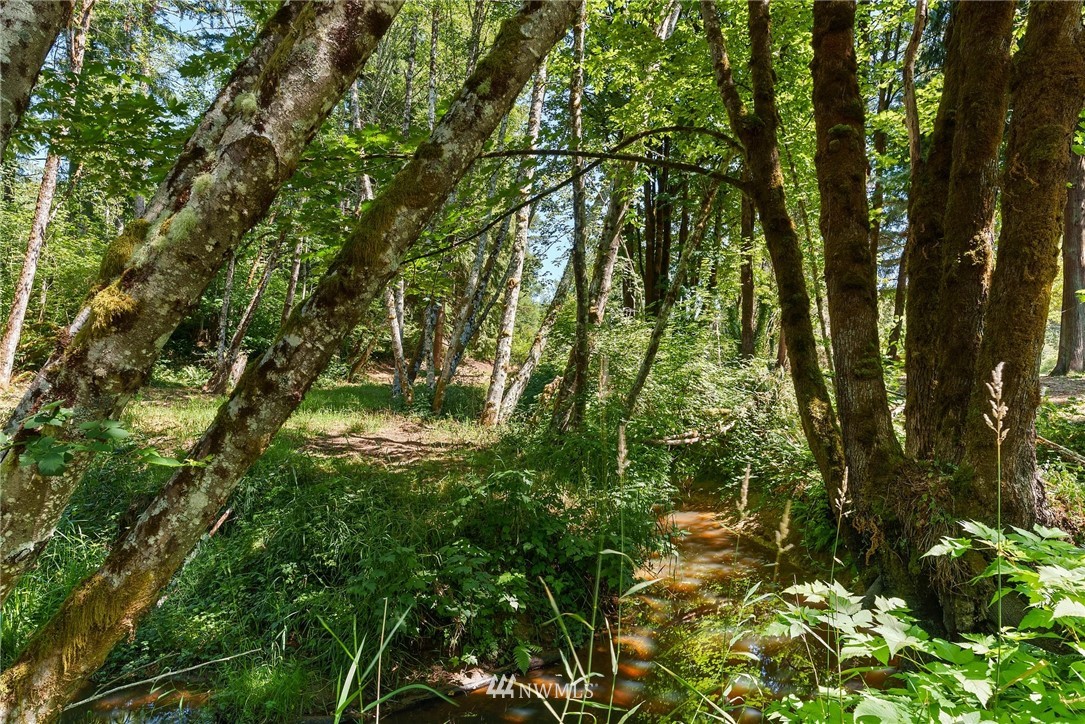 269 Blanchard Road Centralia, WA 98531 - Photo 21 of 25 Gallery Image 21