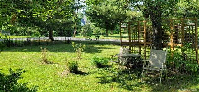 a view of a garden with plants