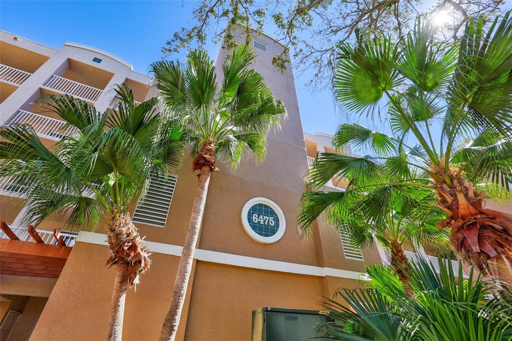 6475 Shoreline Drive, Unit 5102 St. Petersburg, FL 33708 - Photo 2 of 39 a view of a tree with a tree