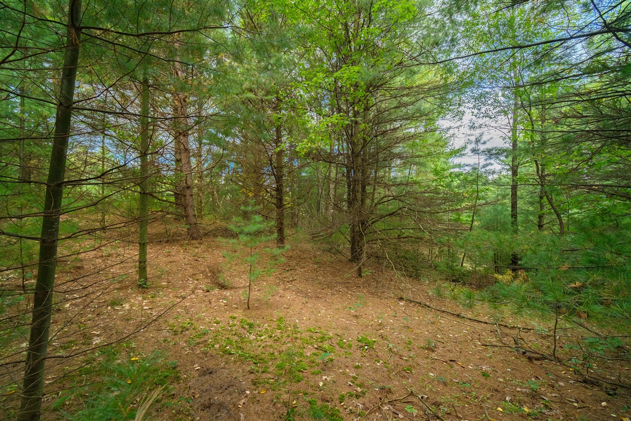 0 Erdman Road Onekama, MI 49675 - Photo 34 of 69 Gallery Image 34