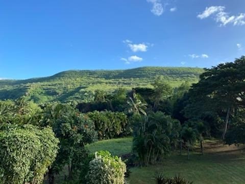 5382 Menehune Road Waimea, HI 96796 - Photo 23 of 24 Gallery Image 23