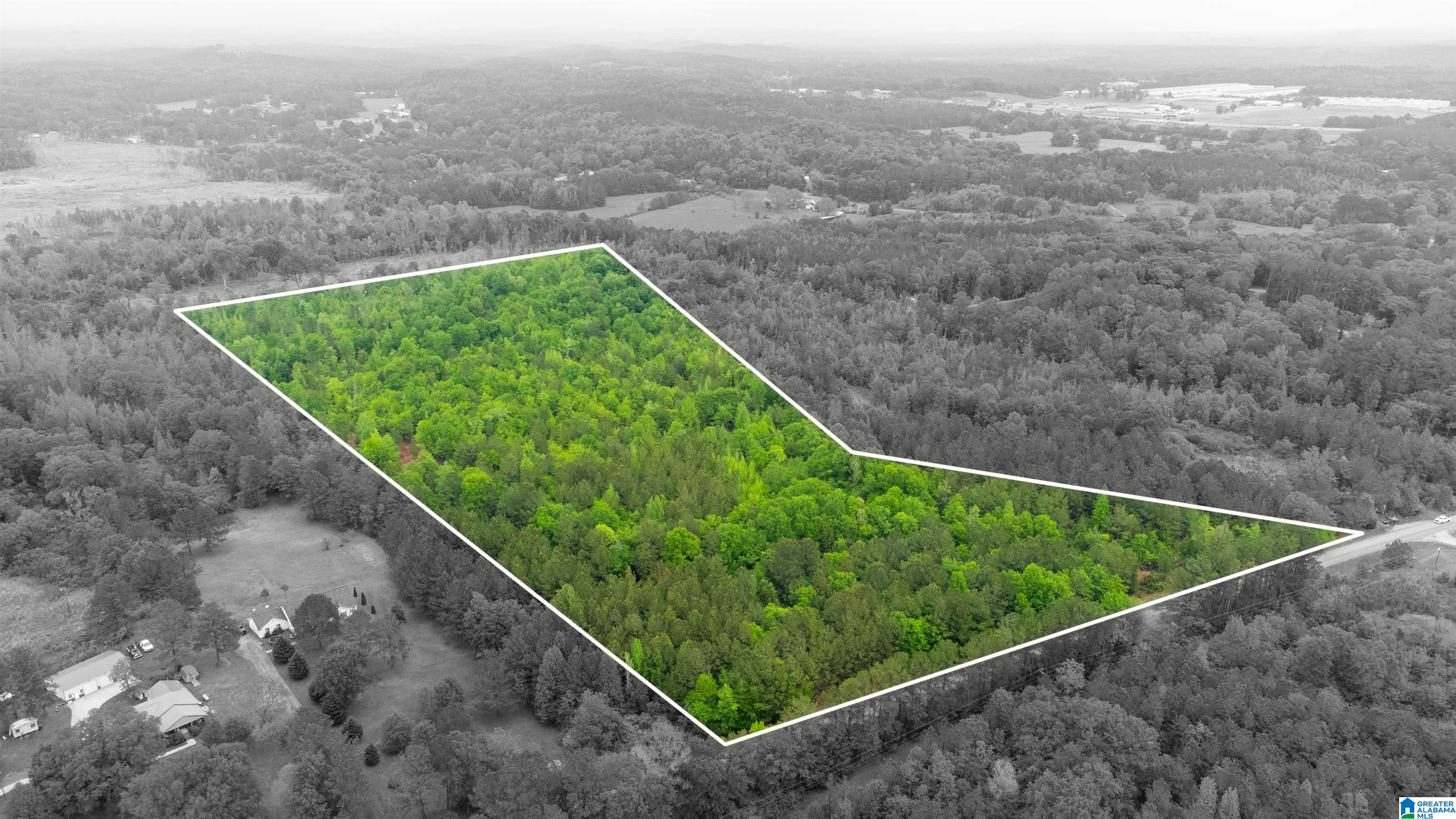 0 Cove Access Road, Unit 28 Talladega, AL 35160 - Photo 3 of 12