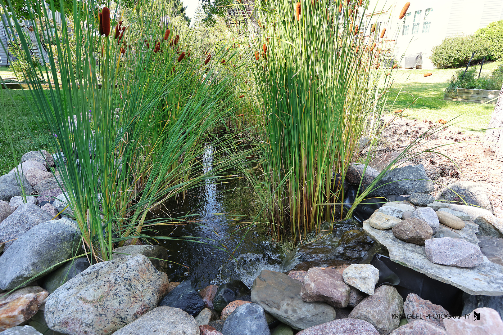 2726 Providence Lane Lindenhurst, IL 60046 - Photo 22 of 29 a backyard of a house with lots of green space