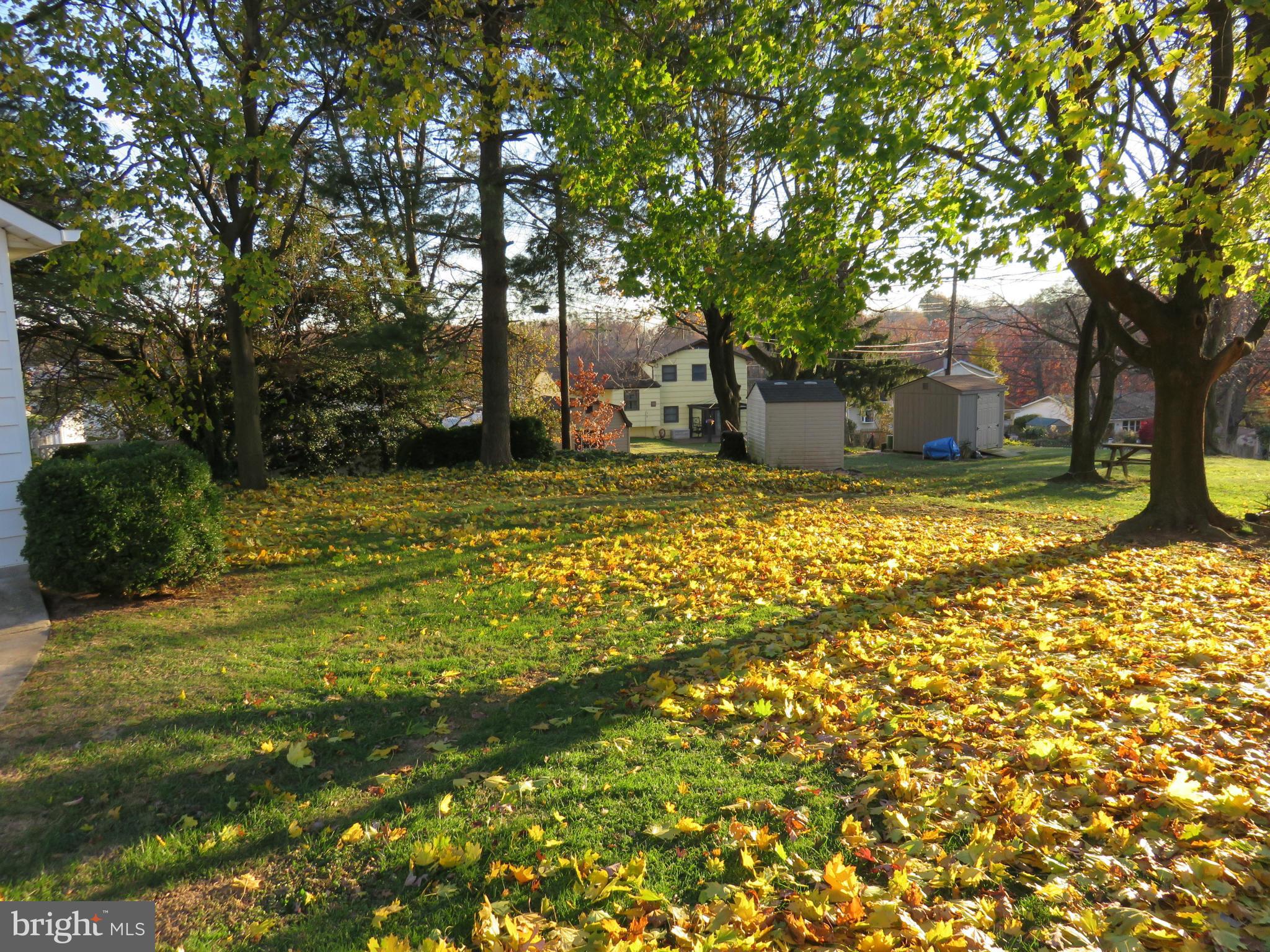 1747 Ellinwood Road Baltimore, MD 21237 - Photo 3 of 26 a view of a yard with trees