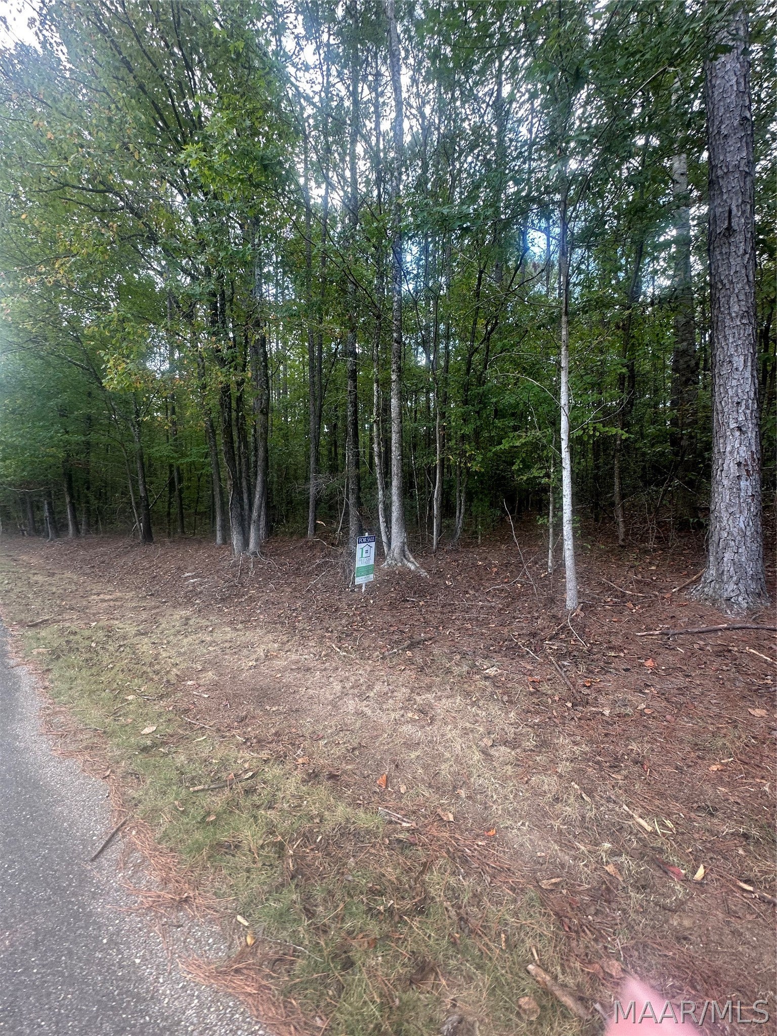 1620 Grass Farm Road Titus, AL 36080 - Photo 4 of 4 Gallery Image 4