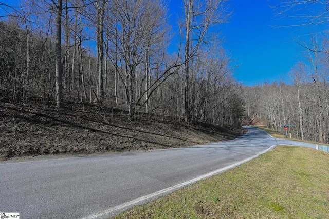 $15,000 | 35 Foggy Cut Lane, Landrum, SC 29356