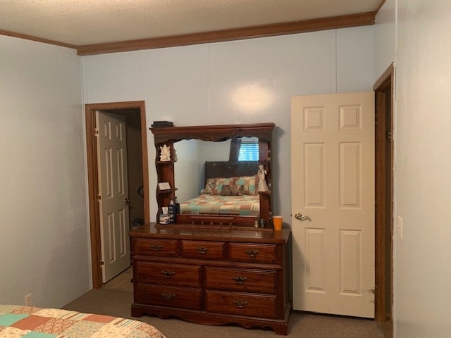 982 Walkers Chapel Road Adolphus, KY 42120 - Photo 12 of 15 Gallery Image 12