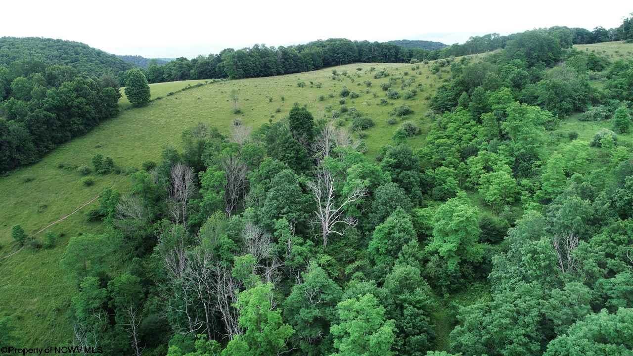 1 Back Mountain Road Durbin, WV 26264 - Photo 7 of 25 Gallery Image 7