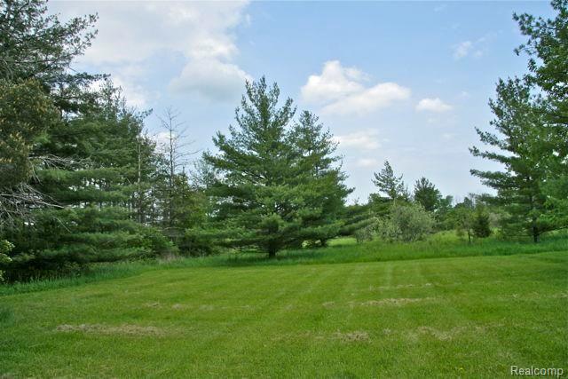 56566 Omo Road Macomb, MI 48042 - Photo 2 of 24 _MG_1359.jpg