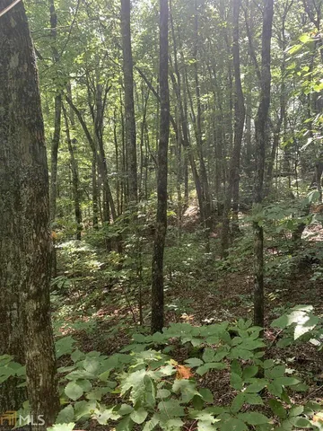 a view of outdoor space and green space
