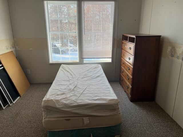 5237 East Deer Road Walkerville, MI 49459 - Photo 7 of 21 IMG_9188