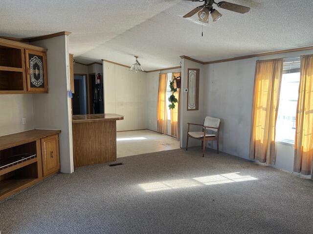 5237 East Deer Road Walkerville, MI 49459 - Photo 9 of 21 IMG_9191
