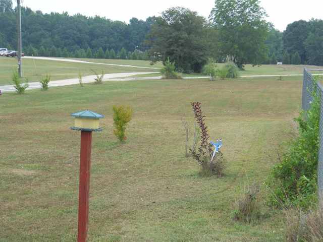 621 Wright School Road Belton, SC 29627 - Photo 15 of 16