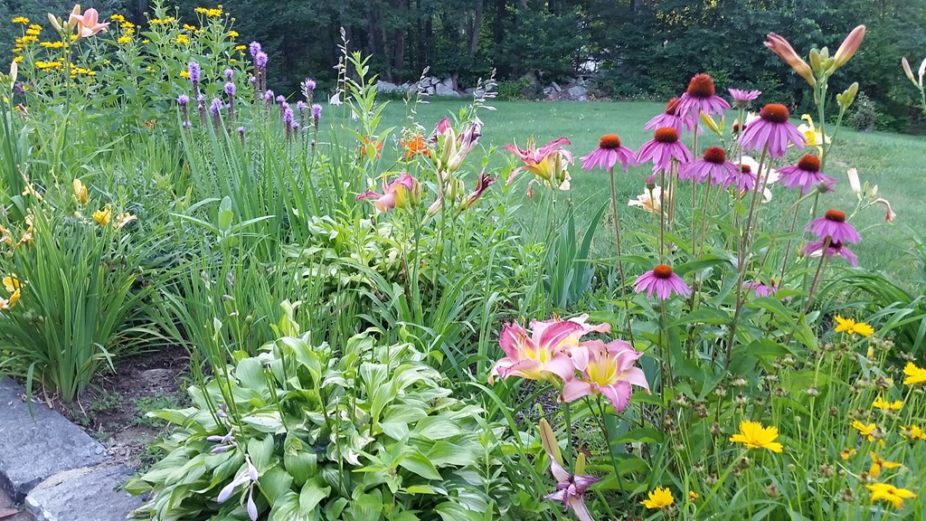 69 Haggerty Road Charlton, MA 01507 - Photo 30 of 30 a flower view