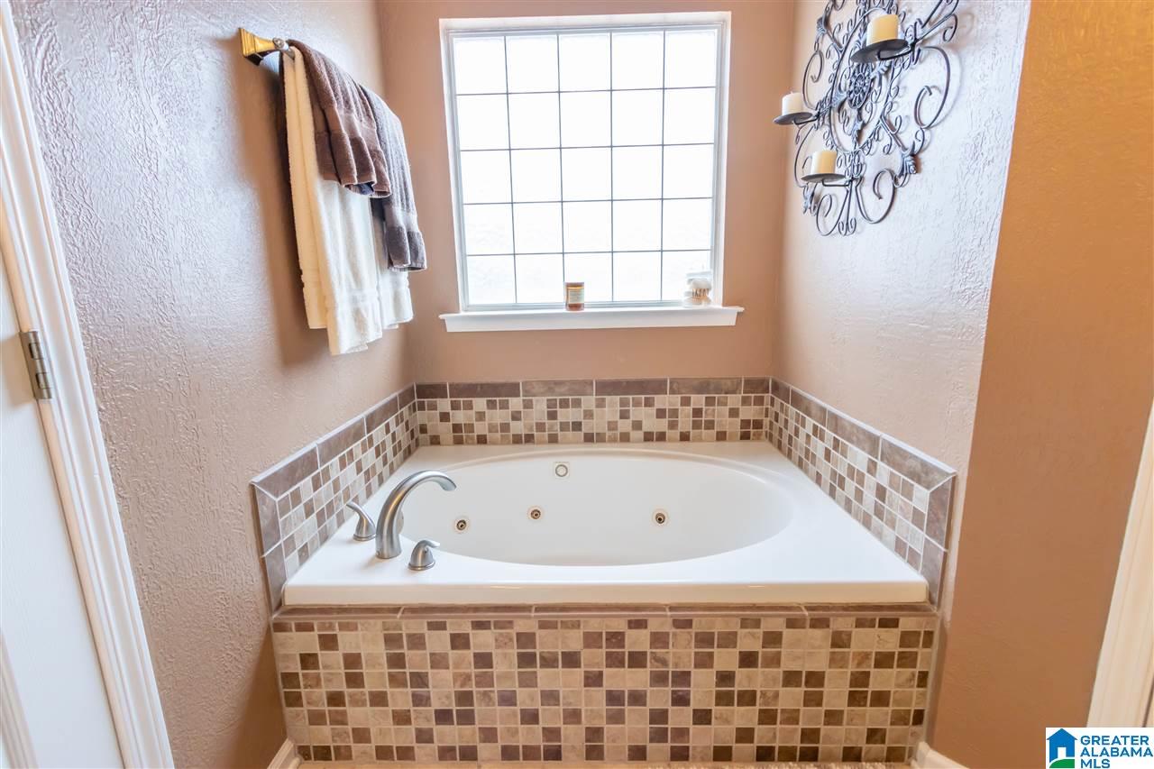 229 Grande View Lane Alabaster, AL 35114 - Photo 22 of 42