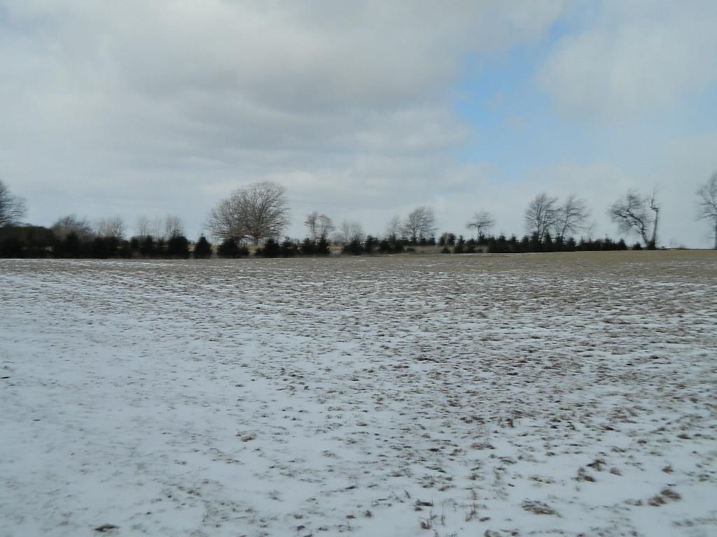 11650 West Remick Road Blanchard, MI 49310 - Photo 35 of 39 1839299-35.JPG
