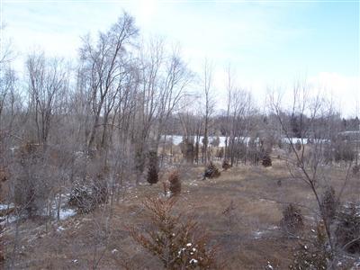 East Colon Road Coldwater, MI 49036 - Photo 1 of 3 Primary Photo