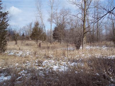 East Colon Road Coldwater, MI 49036 - Photo 3 of 3 Additional Photo