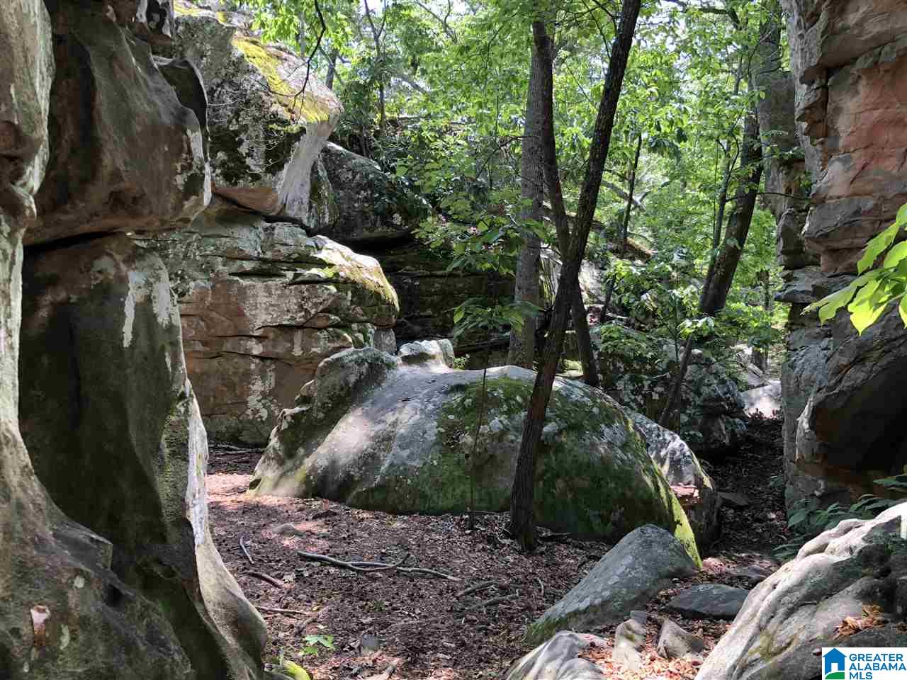 2678 Airport Road Oneonta, AL 35121 - Photo 10 of 10