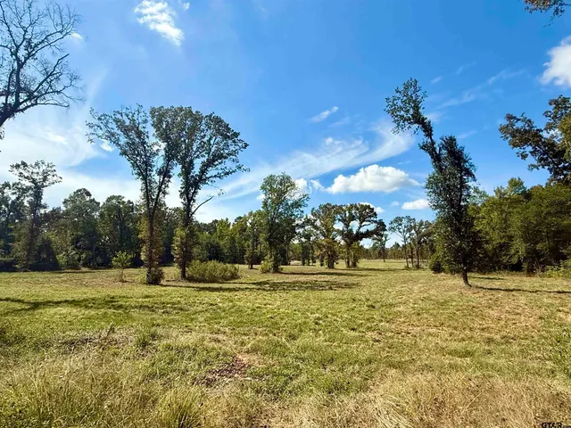 $70,000 | 321 County Road 321, Frankston, TX 75763
