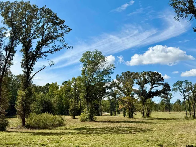 $70,000 | 321 County Road 321, Frankston, TX 75763