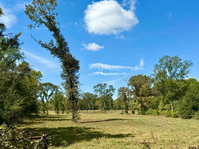 $70,000 | 321 County Road 321, Frankston, TX 75763