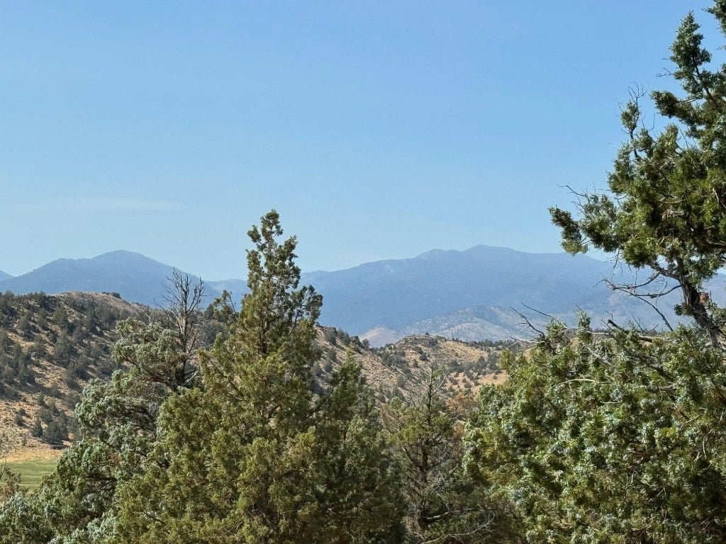 9-1 Unit Weed, CA 96094 - Photo 4 of 41 Gallery Image 4
