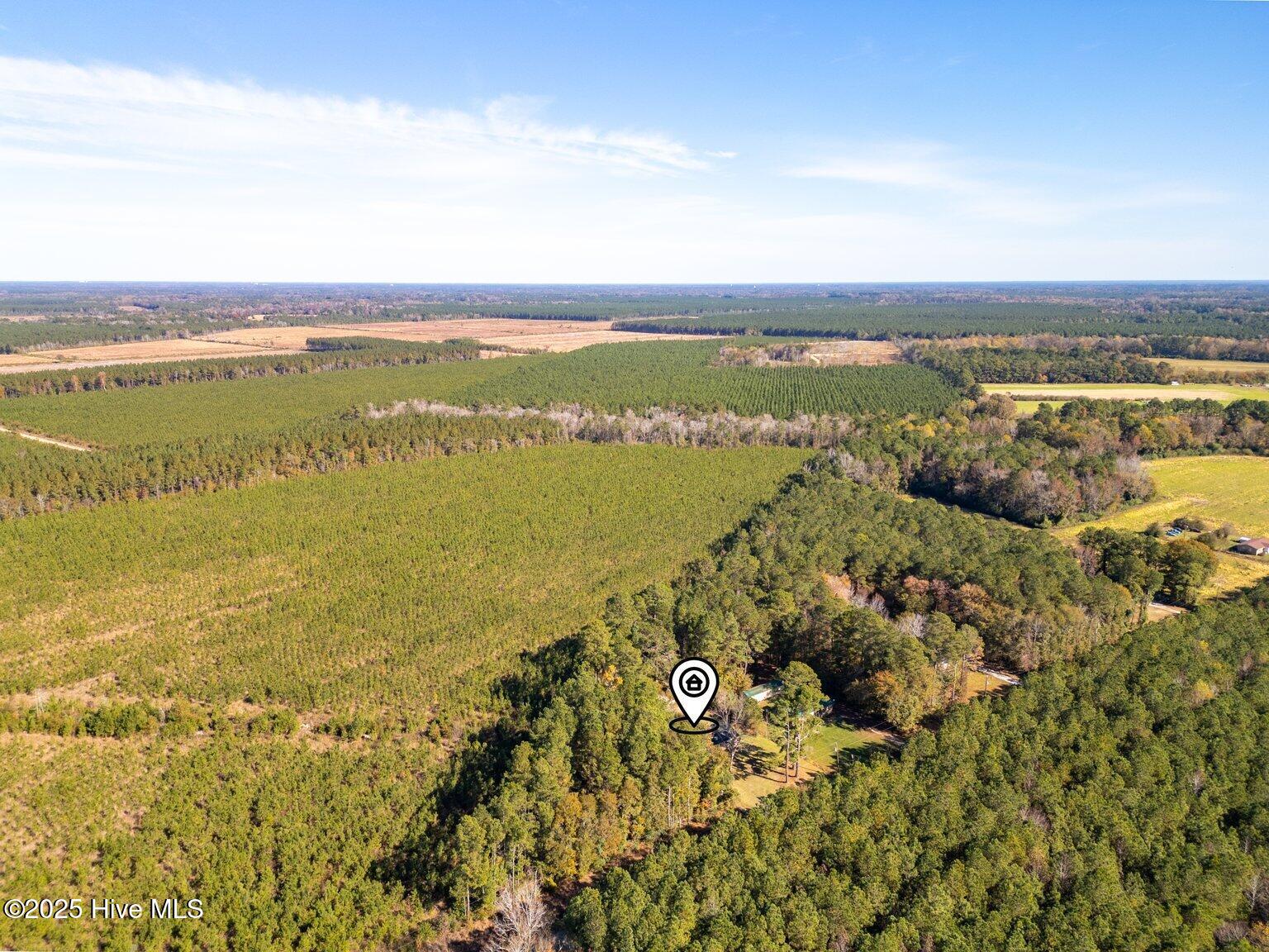 2851 Englishtown Road Willard, NC 28478 - Photo 23 of 23 DJI_0049-HDR-Edit