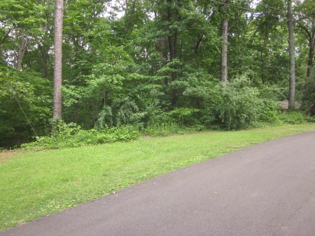 a view of a yard with a tree
