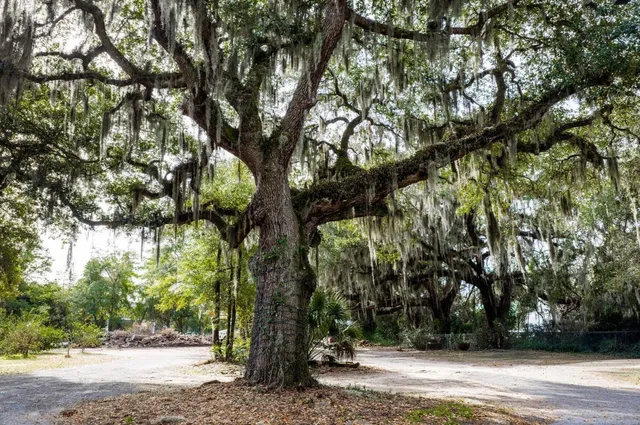 $3,999,900 | 10670 Ocean Highway, Pawleys Island, SC 29585