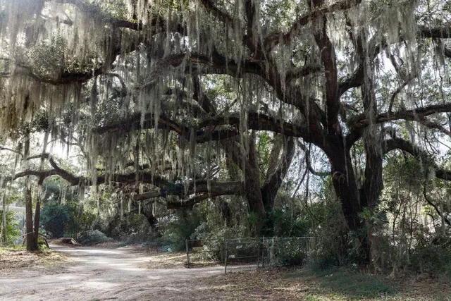 $3,999,900 | 10670 Ocean Highway, Pawleys Island, SC 29585