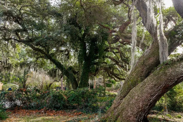 $3,999,900 | 10670 Ocean Highway, Pawleys Island, SC 29585