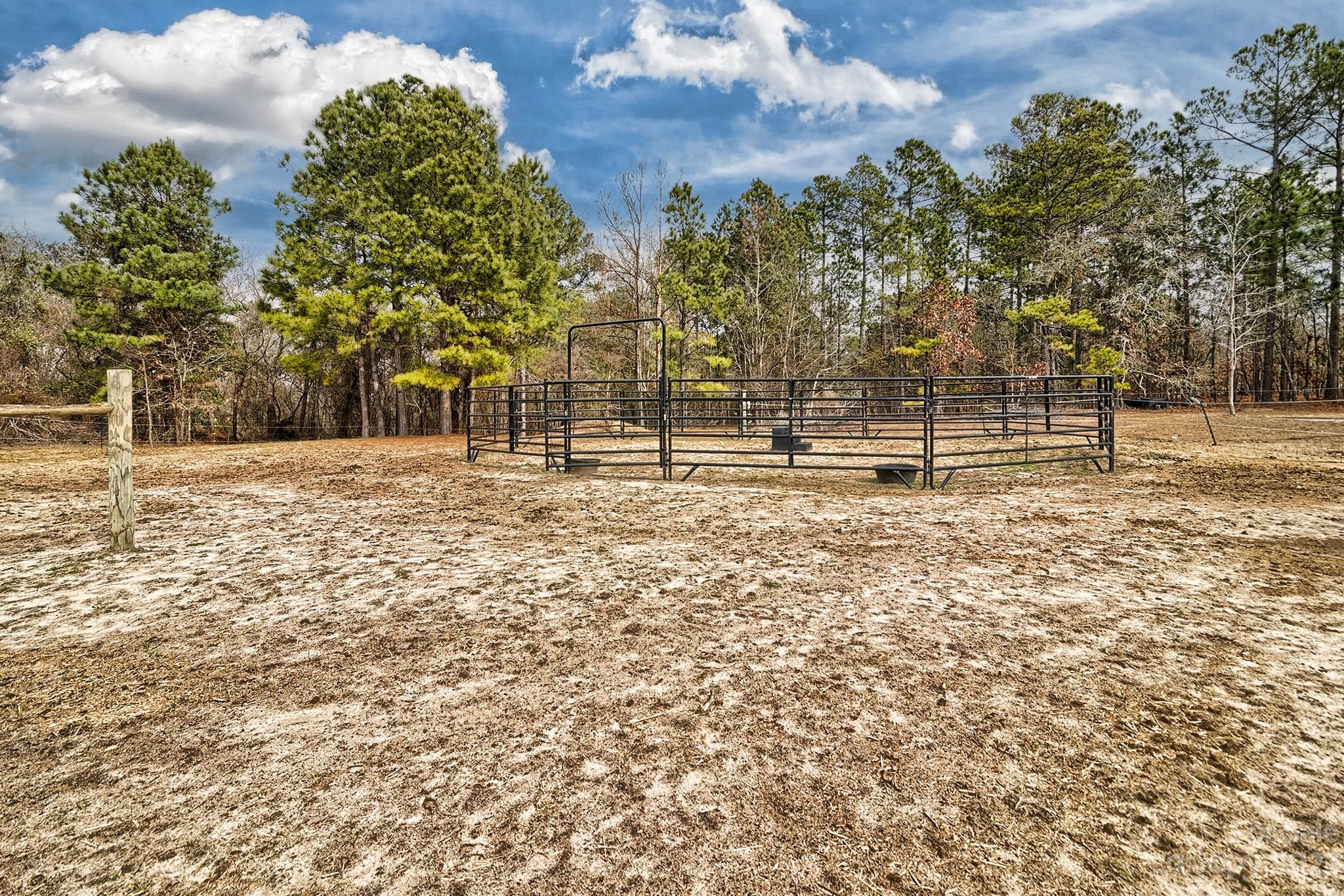 5344 Raleys Mill Road Bethune, SC 29009 - Photo 6 of 48 Gallery Image 6
