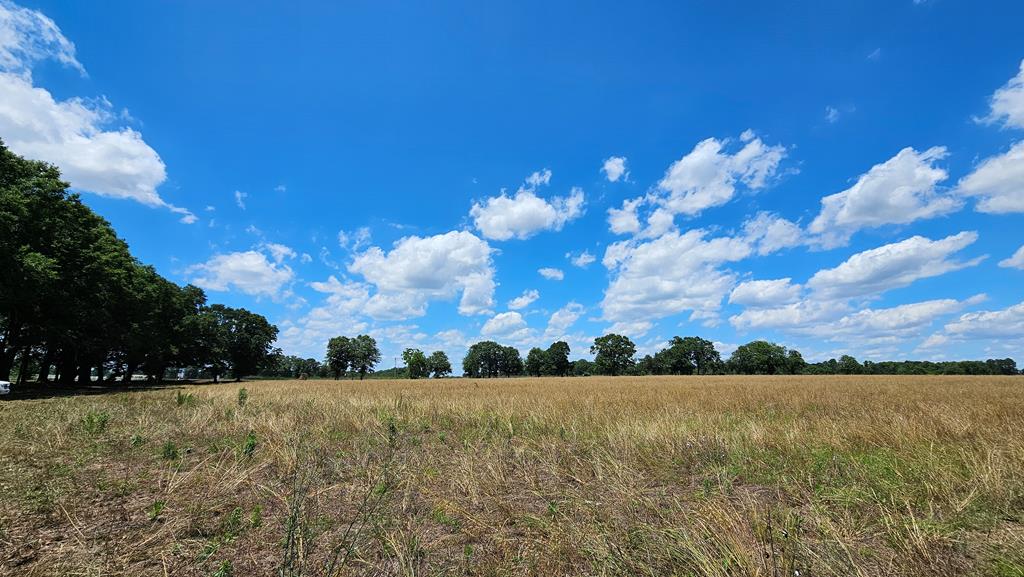 92 County Road 92 Slocomb, AL 36375 - Photo 35 of 58