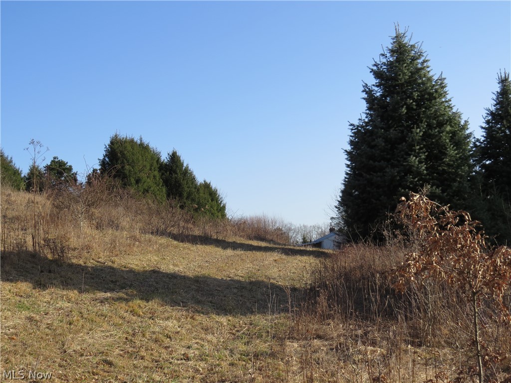 Nectar Road Salineville, OH 43945 - Photo 9 of 15 Gallery Image 9